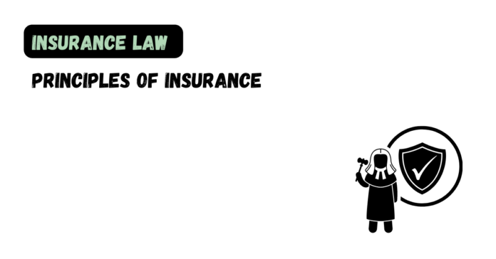 Principles of Insurance