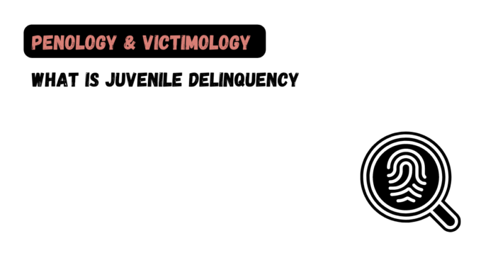 What is Juvenile Delinquency